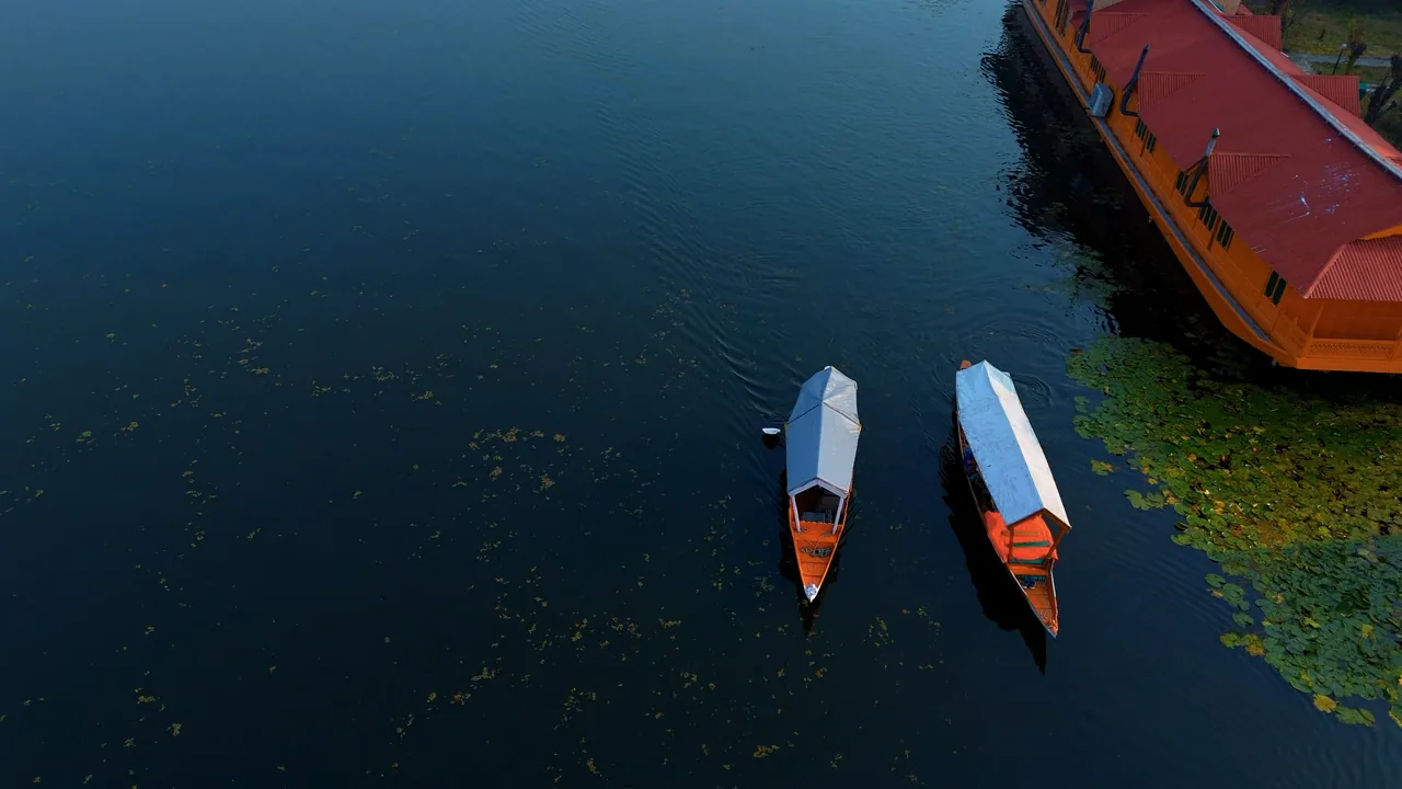 Shikara boats on Nigeen Lake, Srinagar, Kashmir