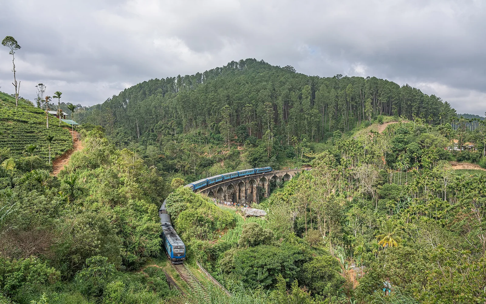Blue train crossing the Nine Arch Bridge, Ella, Sri Lanka